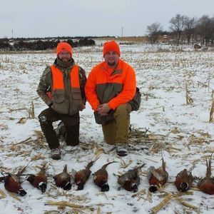 Meet your Posher, Nathan